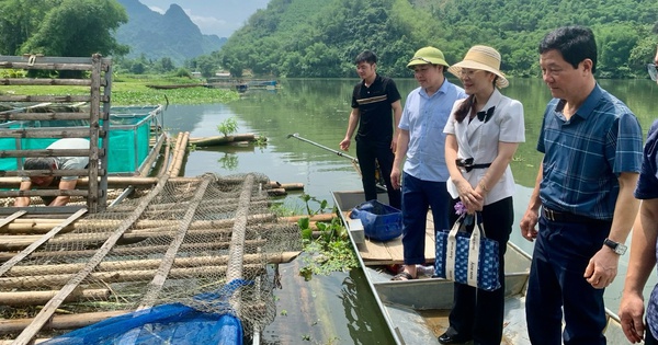 Đây là các mô hình nuôi con đặc sản của nông dân huyện Bá Thước được Hội Nông dân hỗ trợ, giúp sức 5 ba thuoc 3 17323967472092095250388 205 0 875 1280 crop 1732396924579650556518