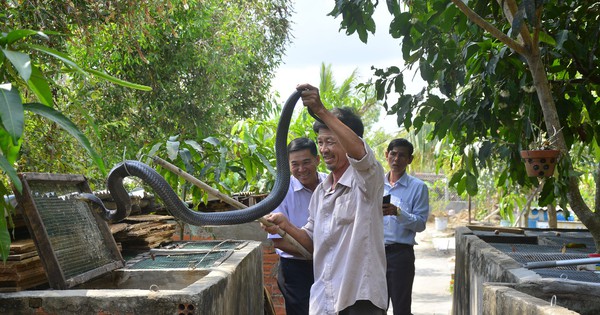 bichlinh vua20ran 1730622327876 17306223324791224690827 0 0 1047 2000 crop 17306228154291045038223