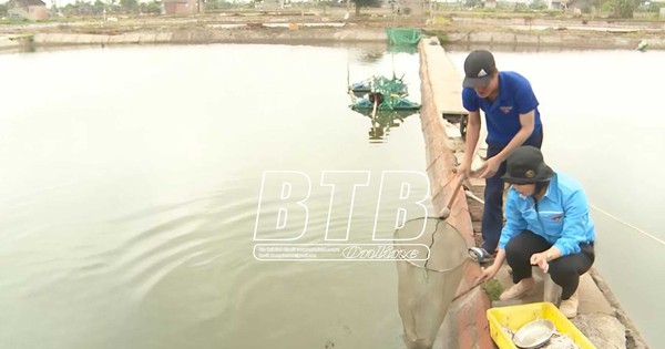 Con đặc sản nuôi thành công ở một huyện của Thái Bình là các con gì mà chi phí thấp, hiệu quả cao? 1 nuoica22571717112024 1732635476210 17326354769681386579894 0 0 1047 2000 crop 173263571583786223584