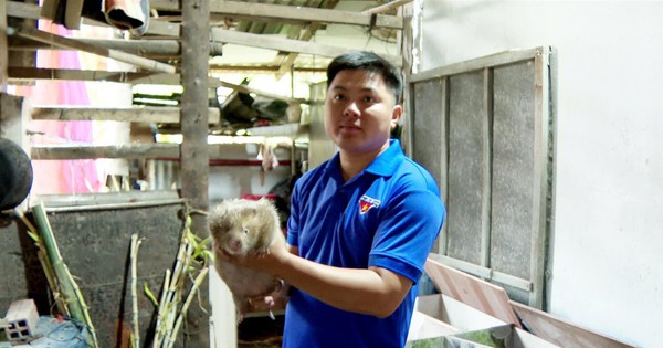 z5931081319181102b699681de2ebb8613528345cbcfd4 1730873426219 17308734271531568644790 0 0 785 1500 crop 17308738519412138917307