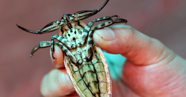 1827 15 10 18 1734489695496 17344896972811722972002 160 0 1165 1920 crop 1734490349383155390462