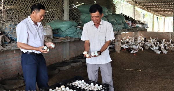 35420241202204321 1733205316712 1733205317446357494468 53 0 728 1080 crop 17332056767341466255237