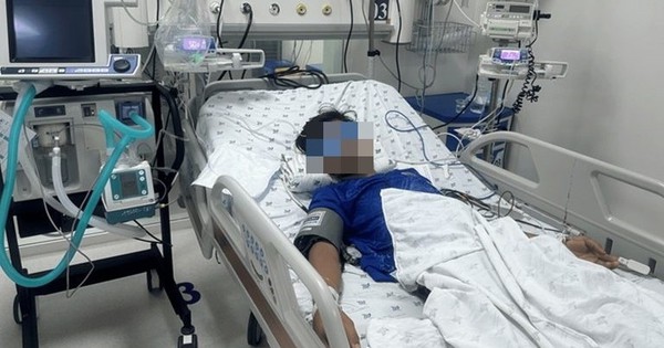 avatar1733149431298 17331494322611628383307