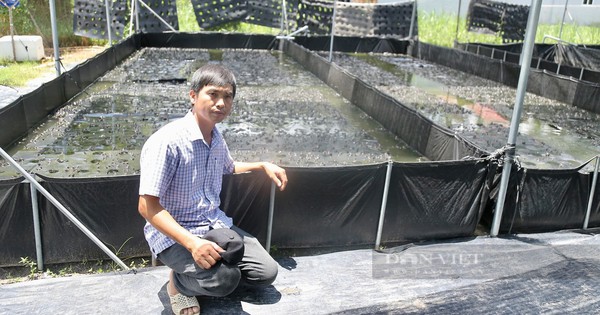 base64 17170717896201714163885 1735547550475612379678 287 0 1334 2000 crop 1735548183918990343231