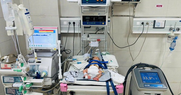 Em bé sơ sinh ở Vĩnh Phúc thoát chết nhờ kỹ thuật 'ngủ đông' 1 cuu song tre so sinh 1735272877599223590804 96 0 894 1276 crop 17352728872891033671466
