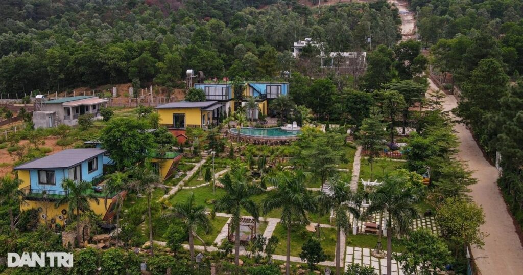 dat rung soc son3thanh dong crop 1735123531583