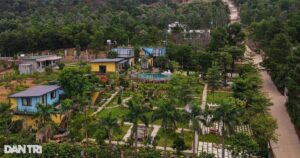 dat rung soc son3thanh dong crop 1735123531583