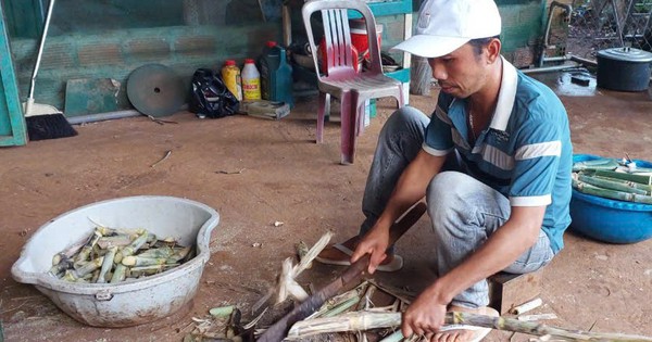 Nuôi động vật hoang dã ở Gia Lai, nông dân thu lợi kép, tốn ít tiền mua thức ăn lại bán đắt tiền 3 dong20vat 1732982493890 17329824957501497199112 90 0 528 836 crop 1732982870230847390035