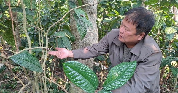 img20241224220554 1735139714621164242264 50 0 720 1280 crop 1735139768214186158480