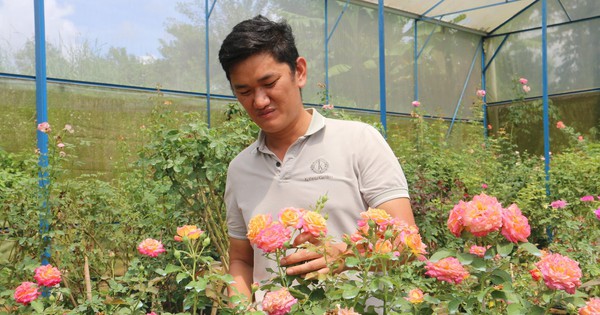 img7288 1735127329351 17351273299011510281803 74 0 1079 1920 crop 17351279183421175761481