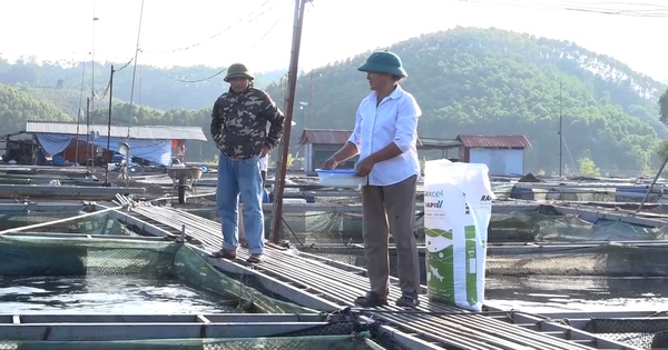 lv02022030822353000081300still348 17333843395981016560748 75 0 1080 1920 crop 1733385187943917028986