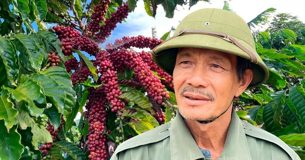 nong dan dak nong mach bi quyet ban ca phe gia cao hon gia thi truonggia ca phe ca phe dak nong 4 17337346580742079681064 31 0 1371 2560 crop 17337358261641991131463