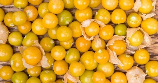 tacdungcuaquatambop1 1735091387889 1735091388481672721832 0 0 390 624 crop 17350914689941375859631
