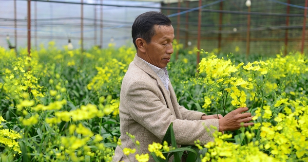 Gia đình Phó Chủ tịch UBND một xã ở Lâm Đồng trồng thành công "loài hoa quý tộc", thu 40 triệu/tháng 6 trong hoa lan vu nu 5 17346041874261808523697 162 0 1502 2560 crop 17346045834727983441