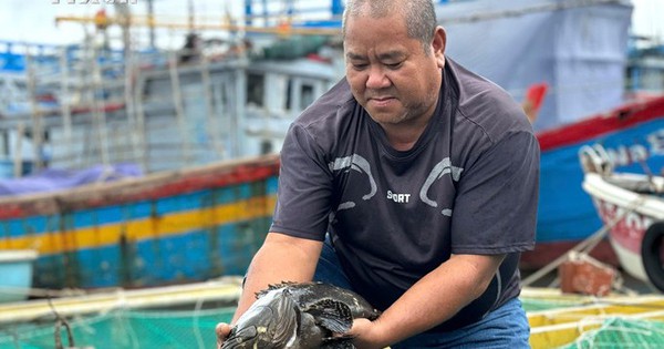 vna potal lao nong lam giau tren vung dat khat o quang ngai 7715743 3649 1735477670795 1735477671102611865014 47 0 403 680 crop 1735477942286977700384