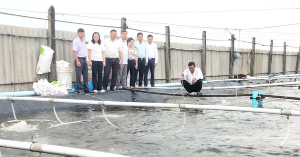 Nơi này ở Bến Tre, một tỷ phú đào ao lót bạt trên nền đất muối để nuôi con gì mà bắt hàng trăm tấn? 3 wmnuoitom 1735647705039 17356477055691080768565 0 0 628 1200 crop 1735648044208660285847