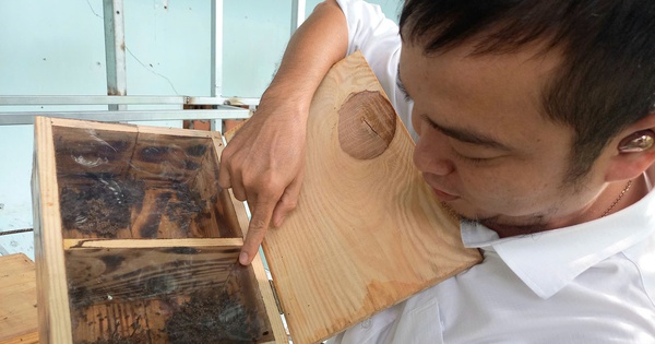 4nuoi ong du 1736329580185884186509 147 0 1487 2560 crop 1736330442643781327025