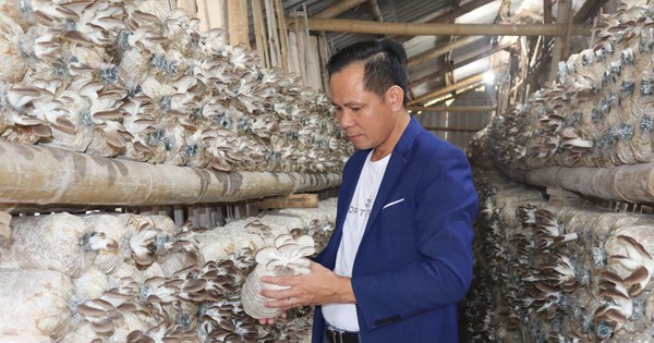 Dám nghĩ dám làm, anh nông dân Nam Định đưa mô hình mới về làng, rủ nhiều người làm giàu 2 5 1737450742254872937436 0 0 1600 2560 crop 1737450775558865704350