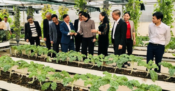 anh bai 2 tr41 bac ninh 1737442752376290053049 18 0 716 1117 crop 17374429772961142214715