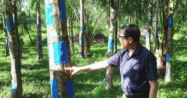 ccb 1736213848265 173621384904913193366 58 0 1063 1920 crop 1736214054358457440111