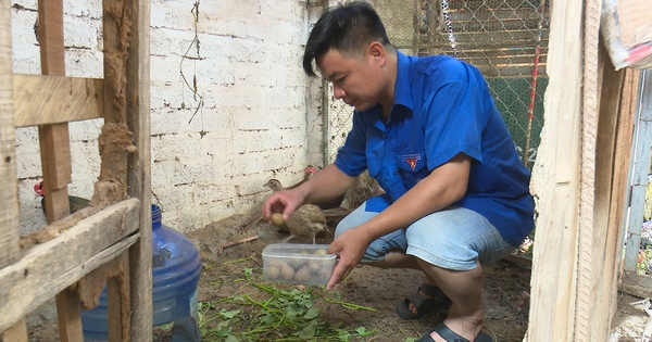 chim tri 1736068039998 1736068040237692119616 29 0 814 1500 crop 1736068491191679397345