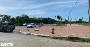 dat nen dt crop crop 1735840704068