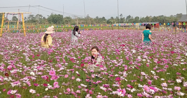 fbimg1736849375107 1736869553240742743794 604 0 1169 1080 crop 17368699407891080363889