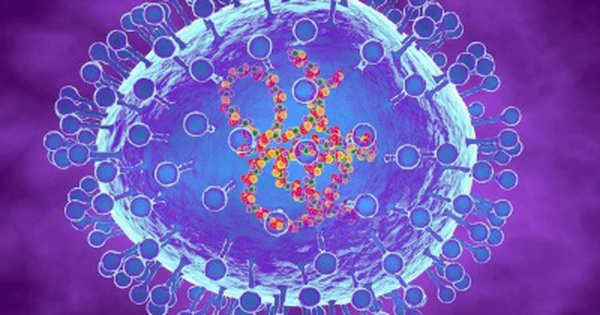 Nỗi sợ thái quá về virus hMPV đang lây lan ở Trung Quốc – 'ám ảnh' sau đại dịch COVID-19 1 hmpv khong phai la virus moi tung duoc phat hien 1736333189649 1736333190668104202412 0 38 250 438 crop 17363338660521083802716
