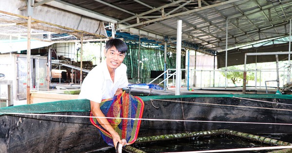 images19901534m2 1736132686523 17361326868801957534303 0 0 1250 2000 crop 17361329476911755050743