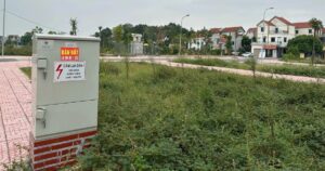 img0302 edited crop crop 1737137114467