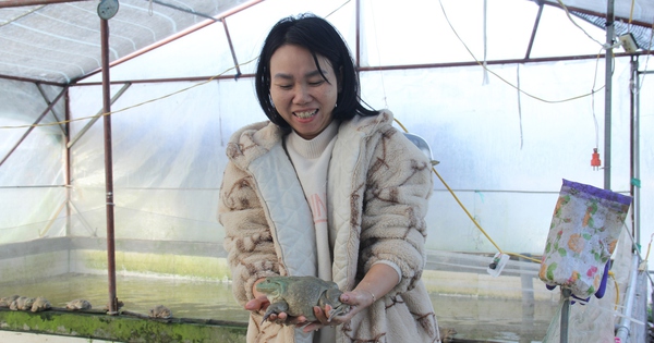 img7075 17374278184161578822871 126 0 1466 2560 crop 173742830999551927139