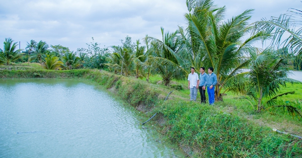 nuoi thuy quai nong dan dak lak kiem hang tram trieu moi nam ma chang ton nhieu cong suc 1 1736585154857804960962 207 0 1547 2560 crop 1736585441123923293014