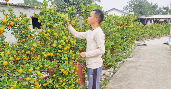 quat canh 17366053345801559408399 0 90 341 741 crop 1736605374080687541360