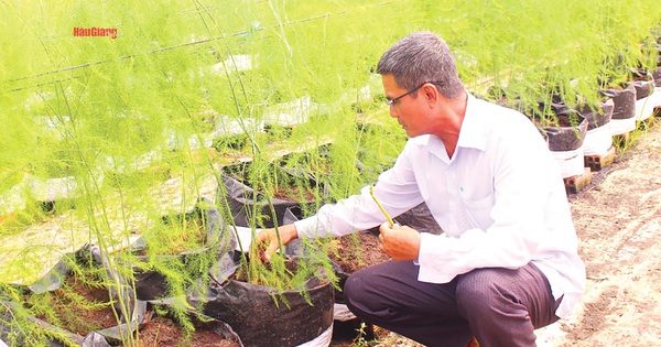 sb4154207 1 1736688373423 17366883738721405797201 169 0 1216 2000 crop 17366886143751681240173