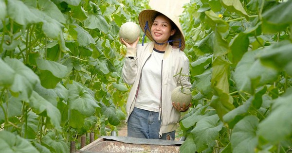 trong dua luoi 17365752220051259750487 94 0 1098 1920 crop 17365753372811912599684