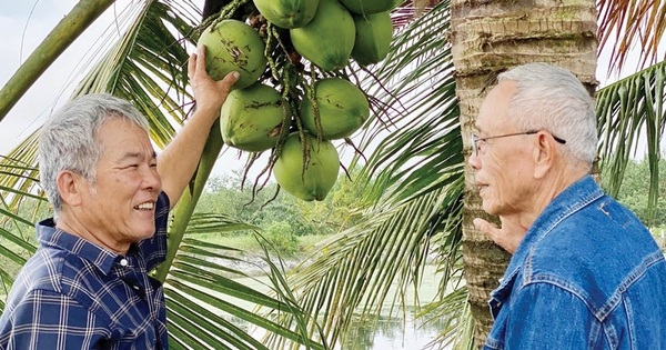 ty phu hue nuoi lon trong dua nuoi ca 17361456800061528059626 0 0 445 850 crop 17361458568631619645975