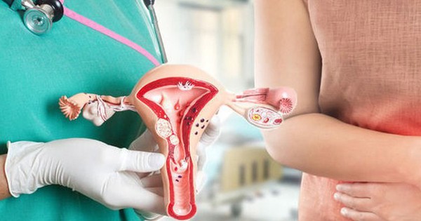 ung thu phu khoa5 17375320309891284809292 0 14 474 772 crop 1737532109590484769877