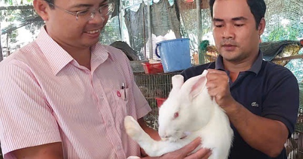 vv1 1736823093464483638300 0 112 576 688 crop 17368242081661268717789