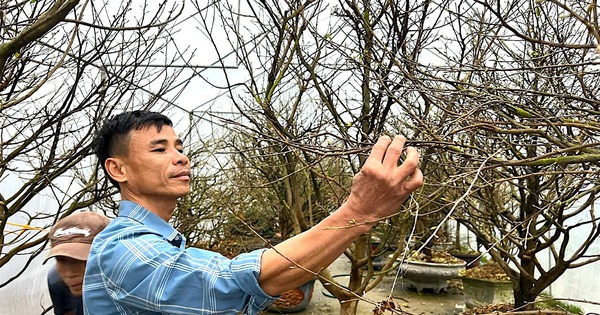 z6192384309125 9aaff0bdb41ad08d7566075a48b07727 1736042106471352760155 0 0 670 1280 crop 17360421121892086745972