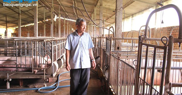 38063948967ba771d1339aimg391120250224092022 1740558855742 17405588558431325027127 0 0 625 1000 crop 17405594891121663200067