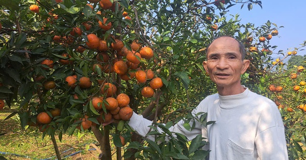 4 1738640073421582143313 0 12 577 1114 crop 173864009358911152863