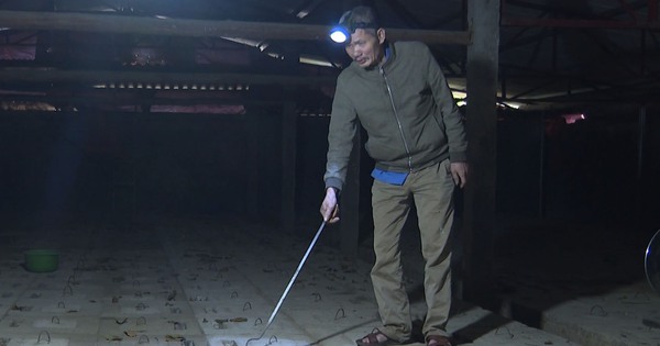 4 17403290880551370579973 61 0 749 1314 crop 17403291427462096140598