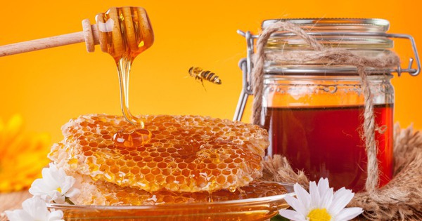 avatar1739374451294 17393744516131725576600