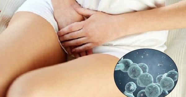 avatar1740378884450 17403788848191465232169