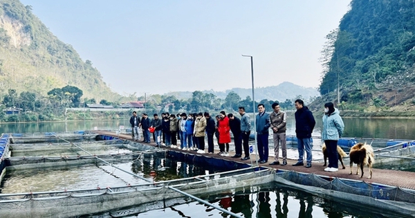 cadieuhong bk 1739253264591886410316 19 0 413 630 crop 17392535423331991208154