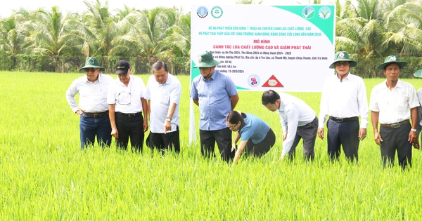 Trồng lúa giảm phát thải ở Trà Vinh, nông dân khỏe hơn, thu nhập tốt hơn, giảm nghèo chắc chắn 5 hop tac xa nong nghiep phat tai 17394319810131905142384 94 0 1434 2560 crop 17394320704911158453275