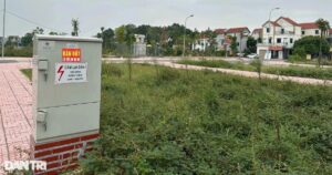 img0302 edited edited edited crop crop 1740337961036