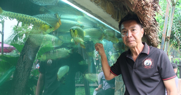 Đại gia Sài Gòn là ông nông dân nuôi cá quý tộc, mở điểm du lịch, khách lớn, khách nhỏ đang vào xem 5 img1199 1739529687917468672087 34 0 1374 2560 crop 17395297398981073751995