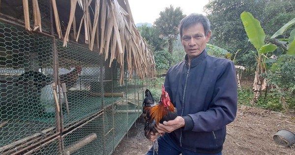 img20250212164708 1739354200521824928368 8 0 678 1280 crop 17393543138721531628445