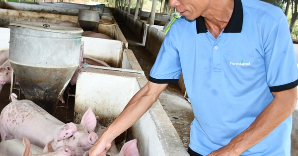 Ở Bình Phước, nông dân gây dựng mô hình làm giàu, giảm nghèo từ 2 "kênh" vốn ưu đãi này 17 lamvangiang 8 1739772310147963616973 0 1719 3712 5431 crop 17397723867571843693640